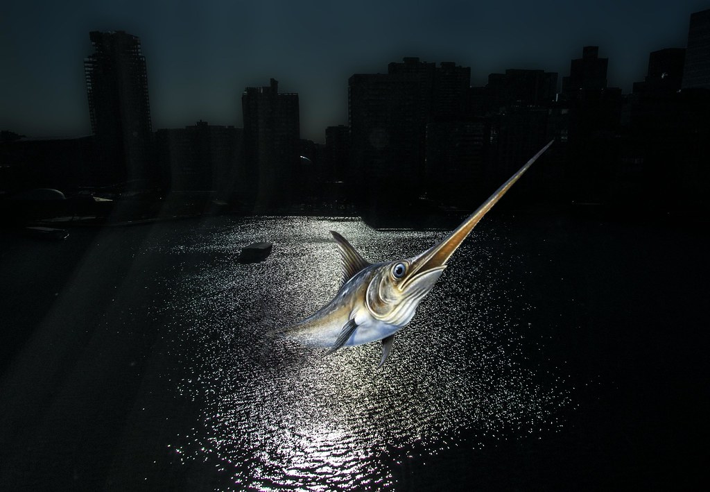 Beware Flying Fish at Night I was working on the nighttime… Flickr