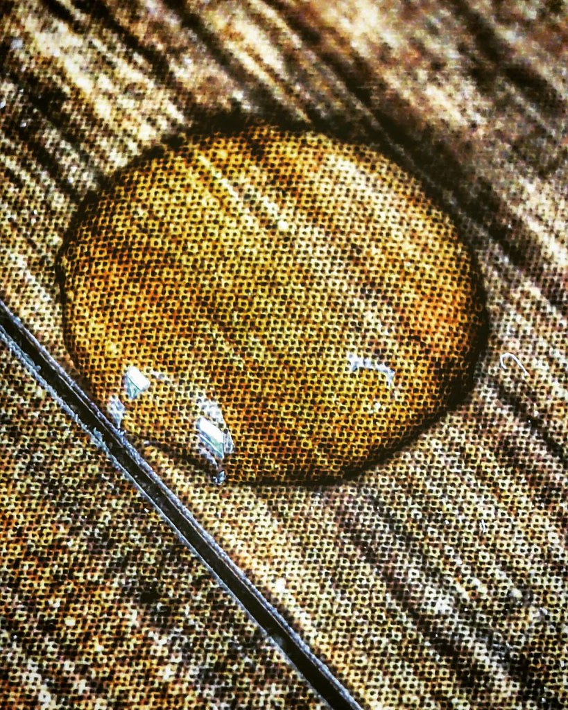 Seeing grain By liquid eye Reading the spot Magnified poe… Flickr