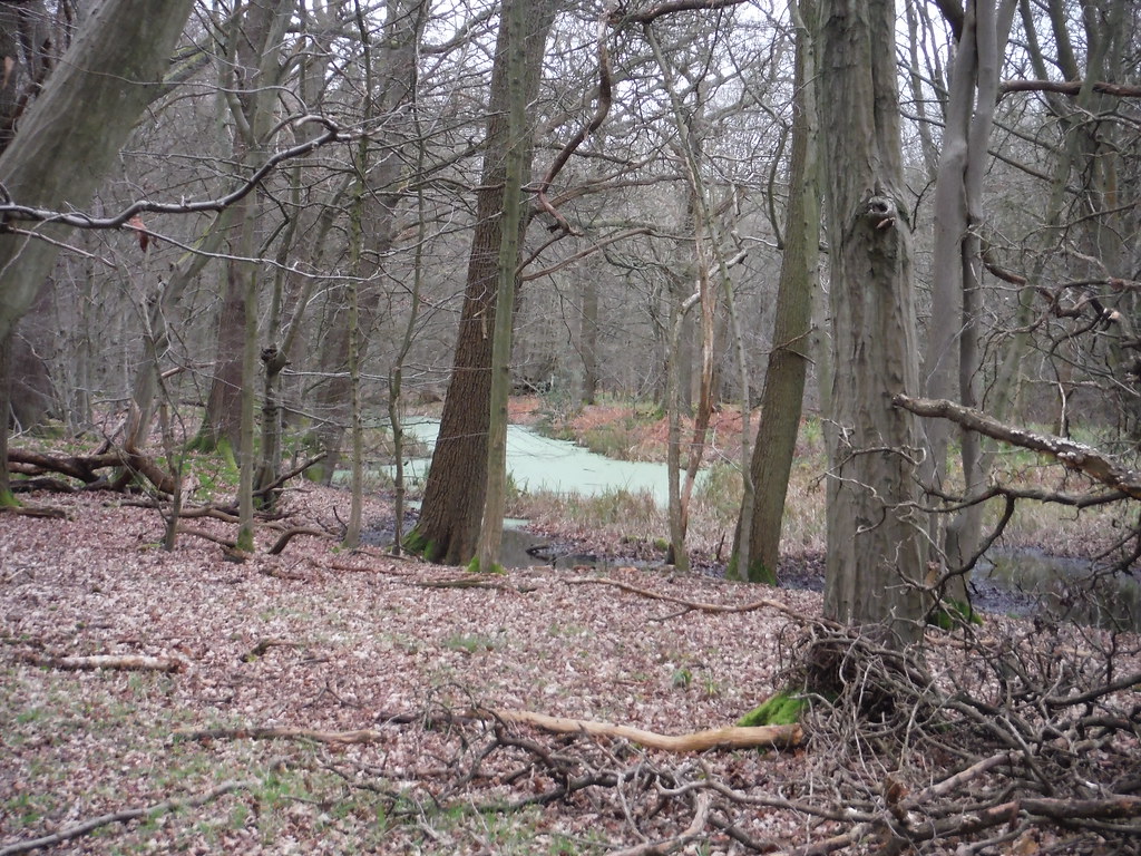 Long Pond, Westfield Grove SWC Walk 168 Broxbourne Circula… Flickr