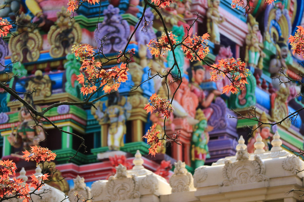Spring in Berlin Sri Mayurapathy Murugan Temple · Berlin ·… Flickr