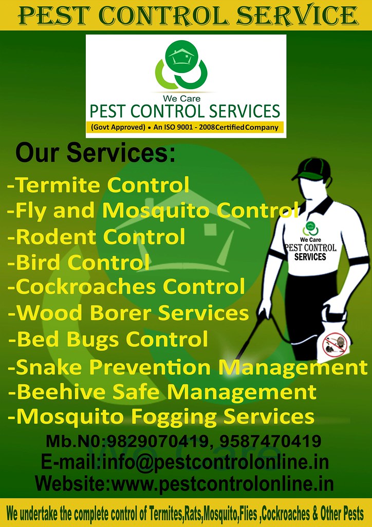 Quality Pest Control Services in jaipur, Rajasthan Flickr