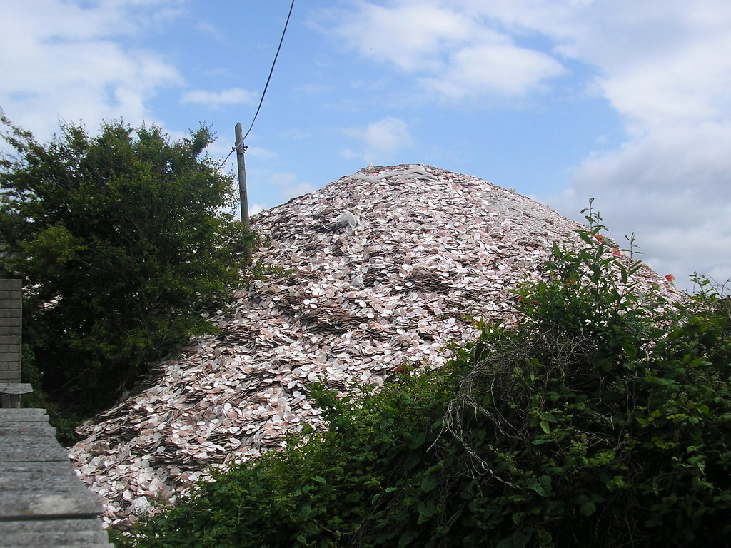 shell mountain A mountain of shells, presumable from the n… Flickr
