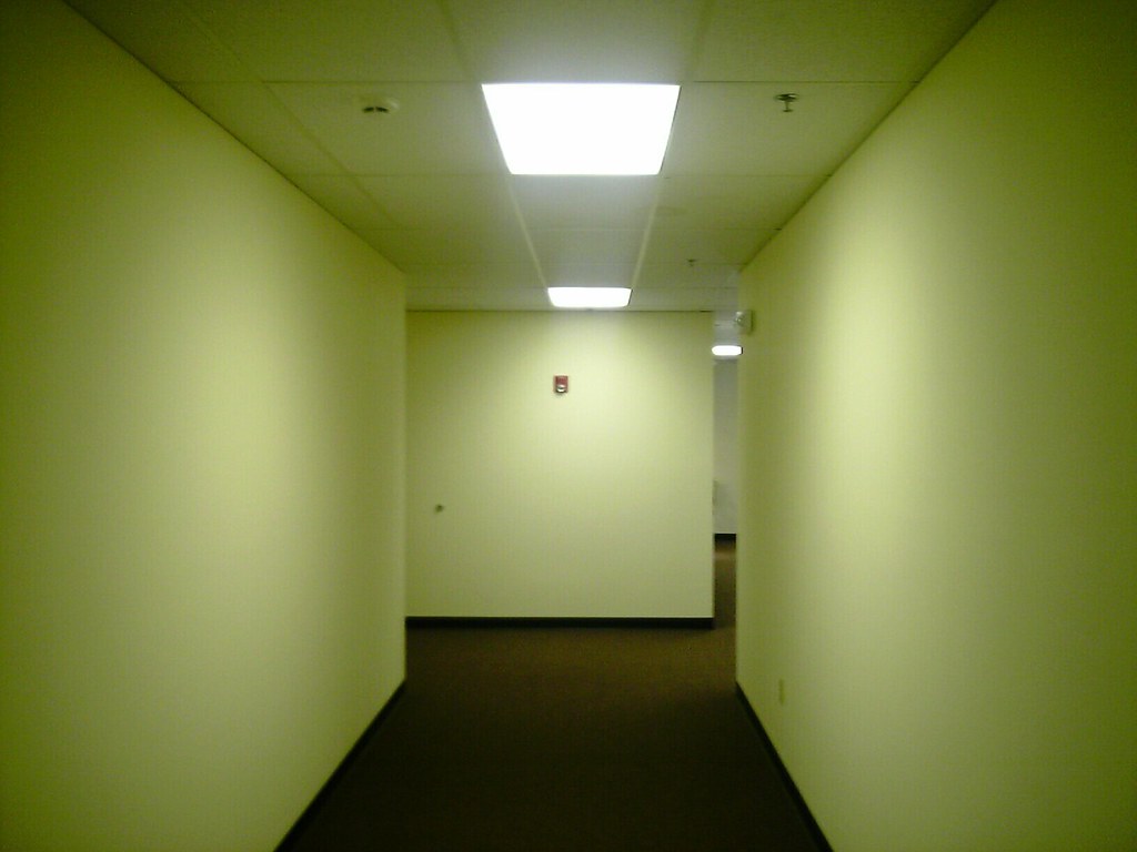 Office Maze I'm like a mouse Aaron Kraus Flickr