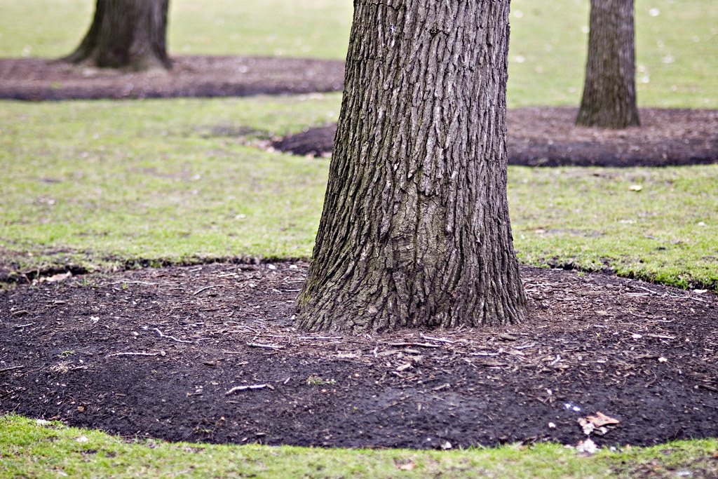 Untitled Paul Goyette Flickr