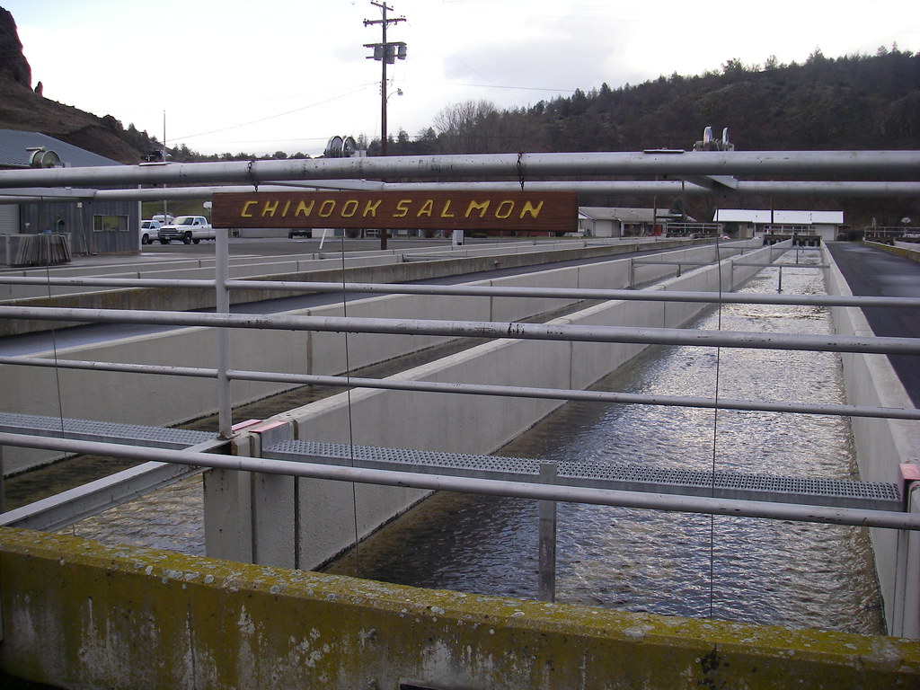 Iron Gate Fish Hatchery Fish Hatchery at the base of Iron … Flickr