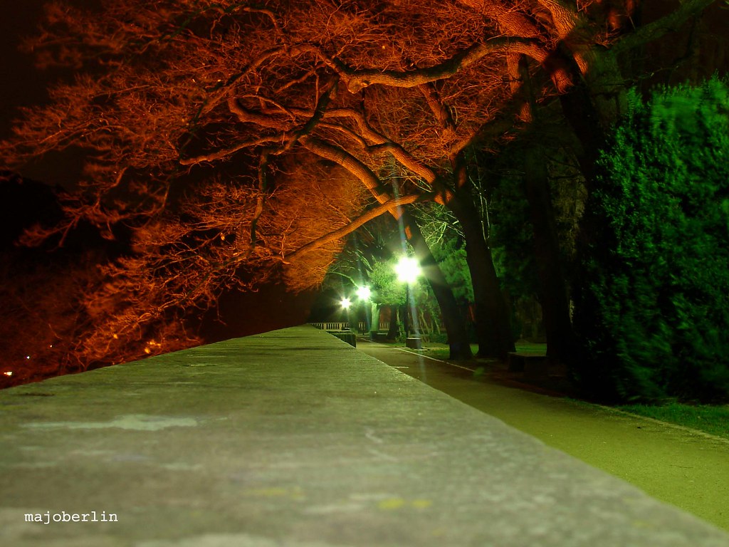 Castle's garden Heidelberg, Germany, not edited static noise Flickr