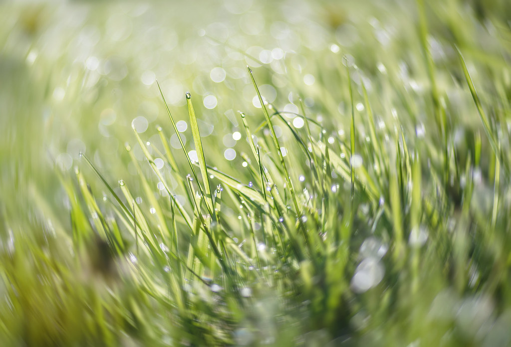 Elevation of Davenham, UK Topographic Map Altitude Map