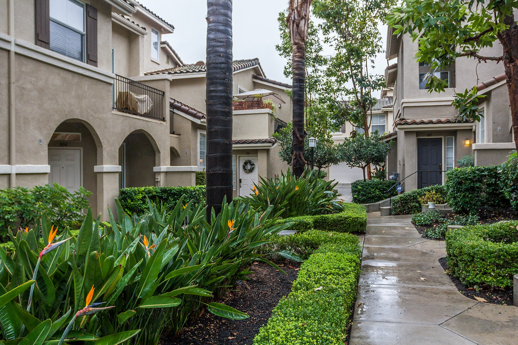 Rain in Irvine Oak Cree, Irvine, California Travel Archive Flickr