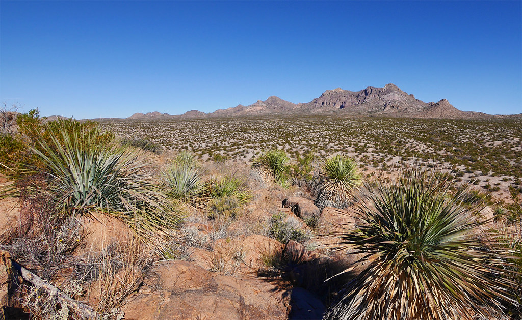 Chihuahuan Desert View Dona Ana Mountains New Mexico Flickr