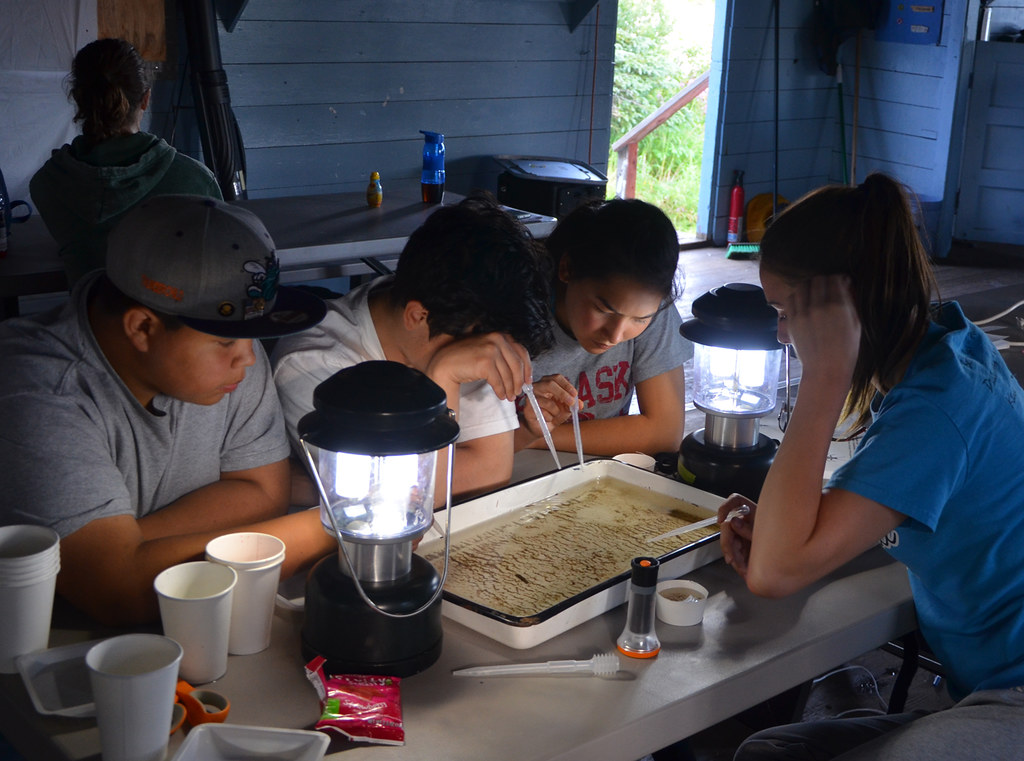 2015 Togiak_SC_ (5) For the past two decades, Alaska’s Nat… Flickr