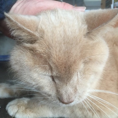 "I am just going outside and may be some time" To quote La… Flickr