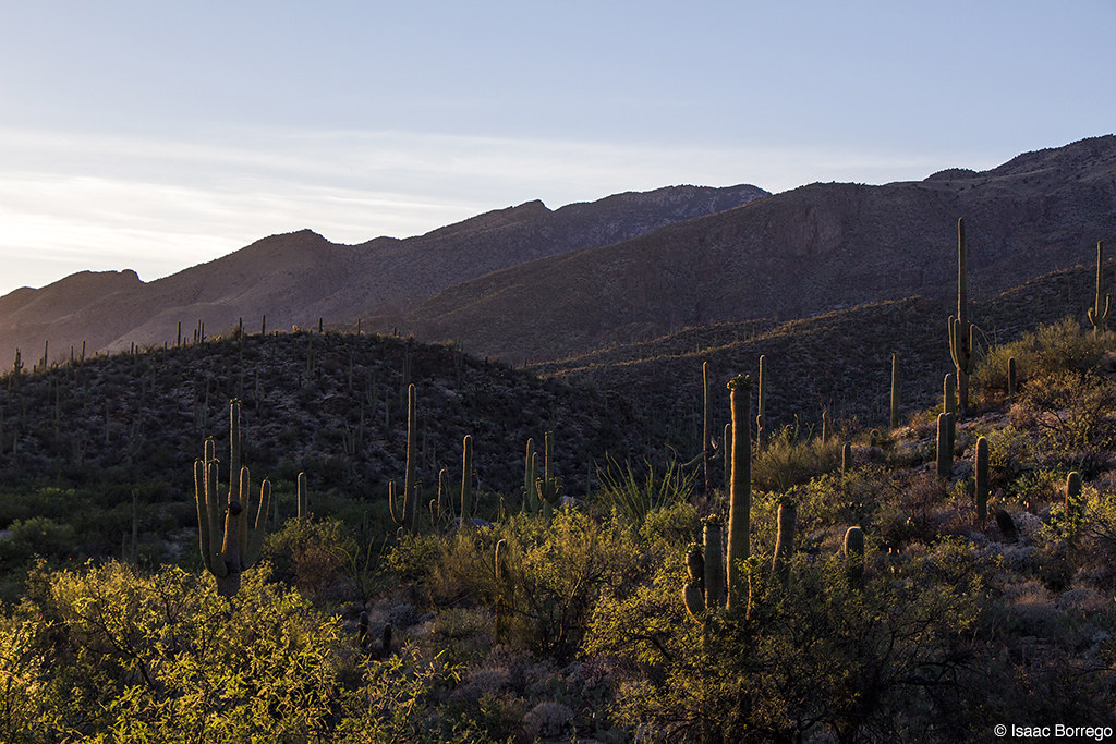 La Reserve, Oro Valley, AZ, USA Sunrise Sunset Times