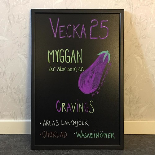 Vecka 25 och månad 6! Nu är det bara 111 dagar kvar till b… Flickr