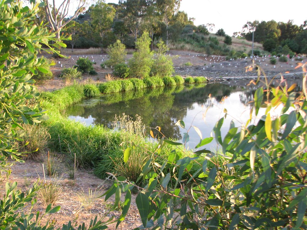 Gleeson_Wetlands_20151101_3s November morning David Clarke Flickr