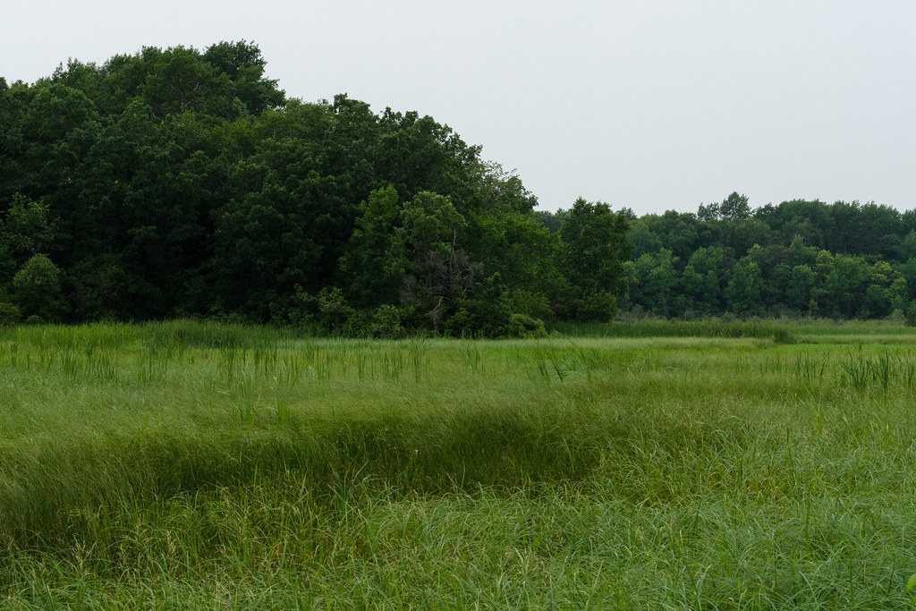 Tamarac Wildlife Refuge Rochert, MN Janelle Streed Flickr
