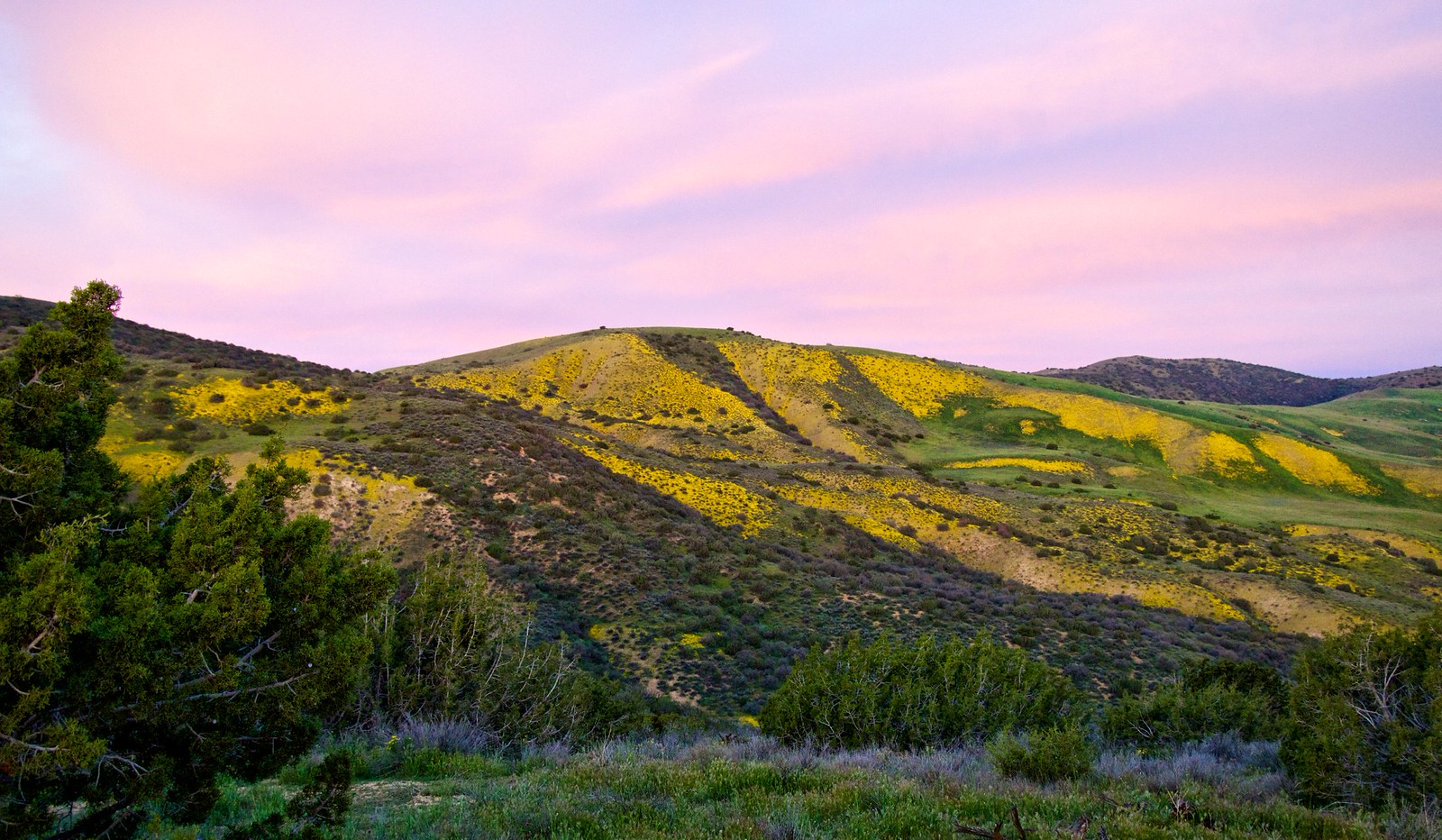 Carrizo Plains 2016 Flickr