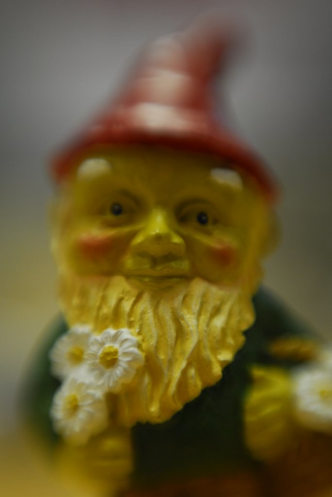 Wee little garden gnome He's about 8cm tall and he sits on… Flickr