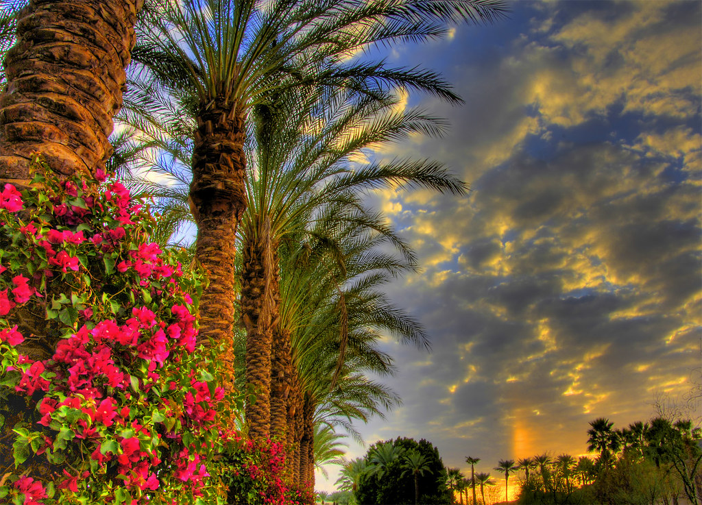 Indian Wells Sunrise Sunrise out front of our hotel at Ind… Flickr