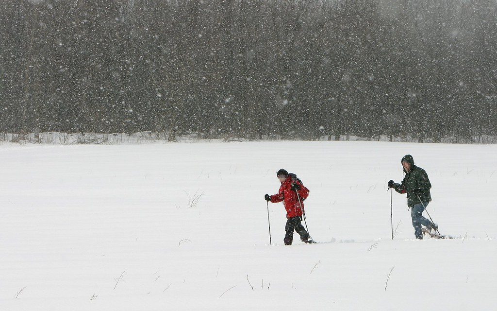 Ski de fond au Cap StJacques / Cross Country Skiing In Ca… Flickr