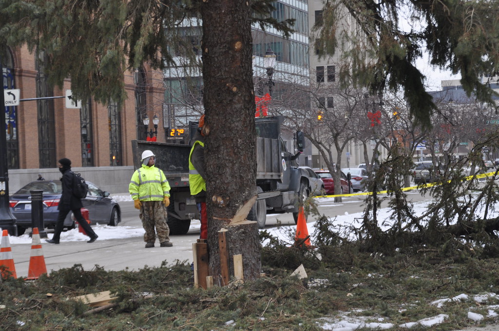 Capitol Christmas Tree Take Down January 2016 Capitol Chri… Flickr
