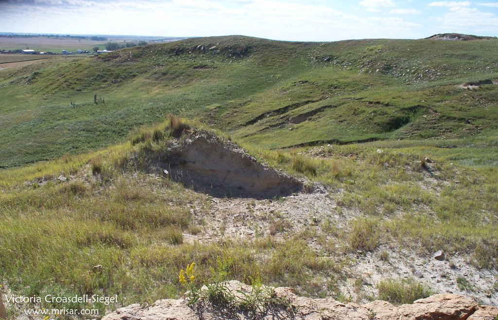 A view of Rural New Leipzig, North Dakota Photograph taken… Flickr