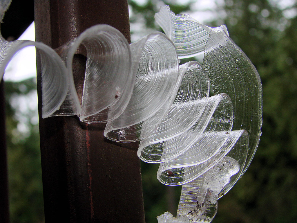Ice Ribbons aka Frost Ribbons for some info on Ice Ribbons… Flickr