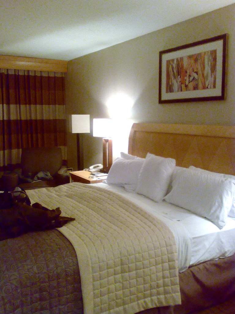 Sweet Home Alabama! Doubletree Hotel Birmingham, Alabama