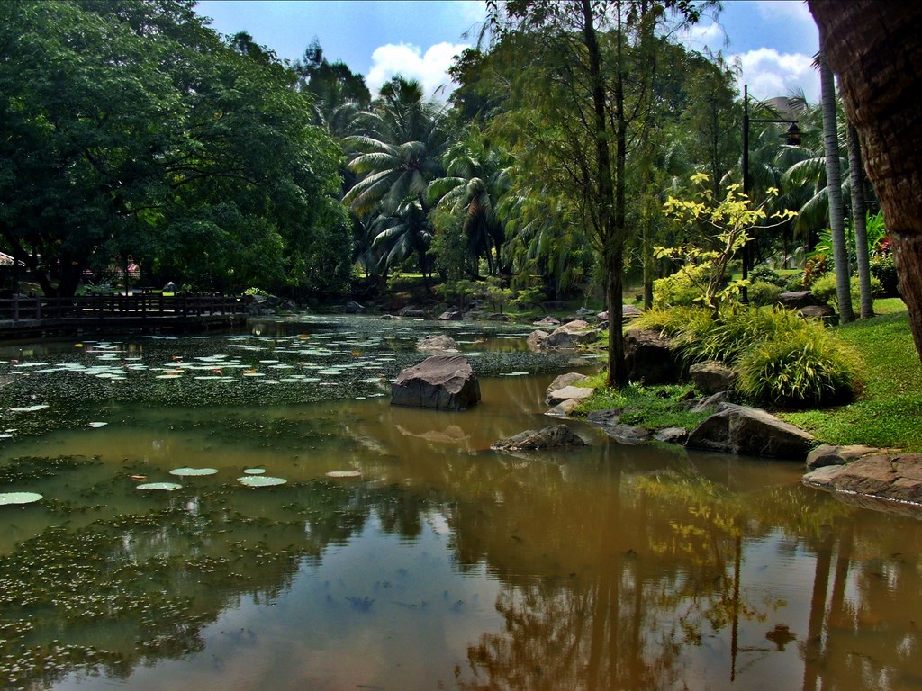 turtle pond in Bishan Park This is the turtle pond in Bish… Flickr
