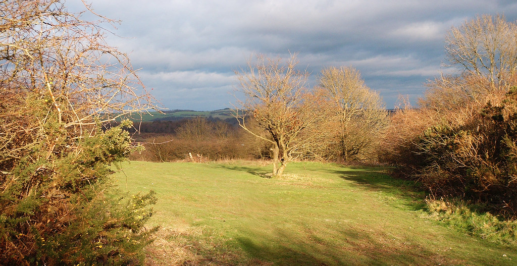 View from Hollingbury Castle View in clearing in woods at … Flickr