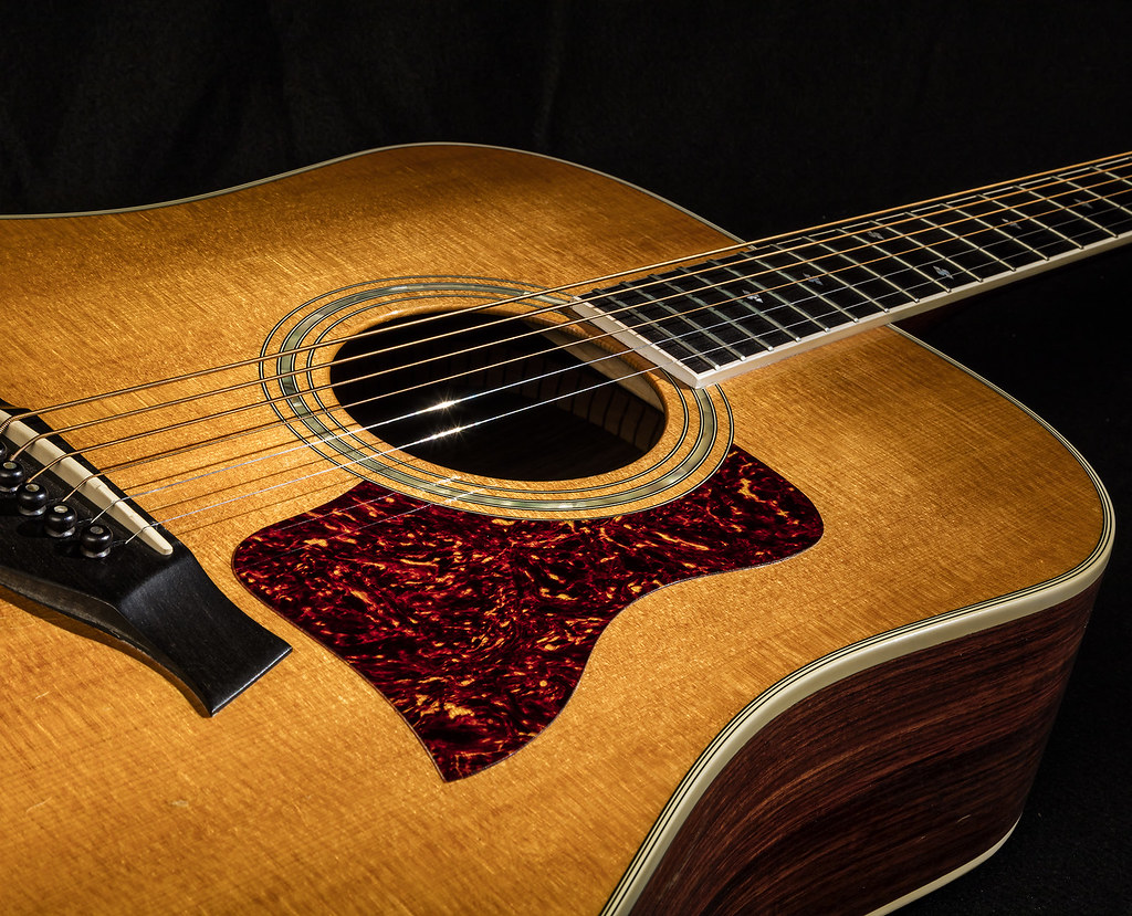 Guitar Taylor Acoustic Guitar Model 810 Guitar Taylo… Flickr