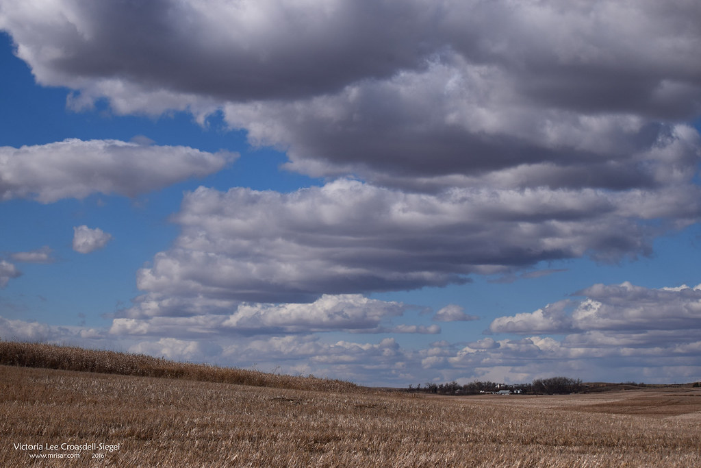 New Leipzig, ND; Ruralscape Photograph taken by VL Croasde… Flickr