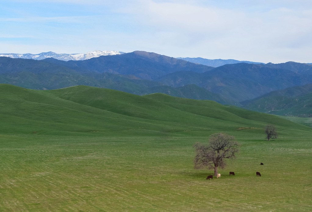 Arvin January, 2016. Justin Haynes Flickr