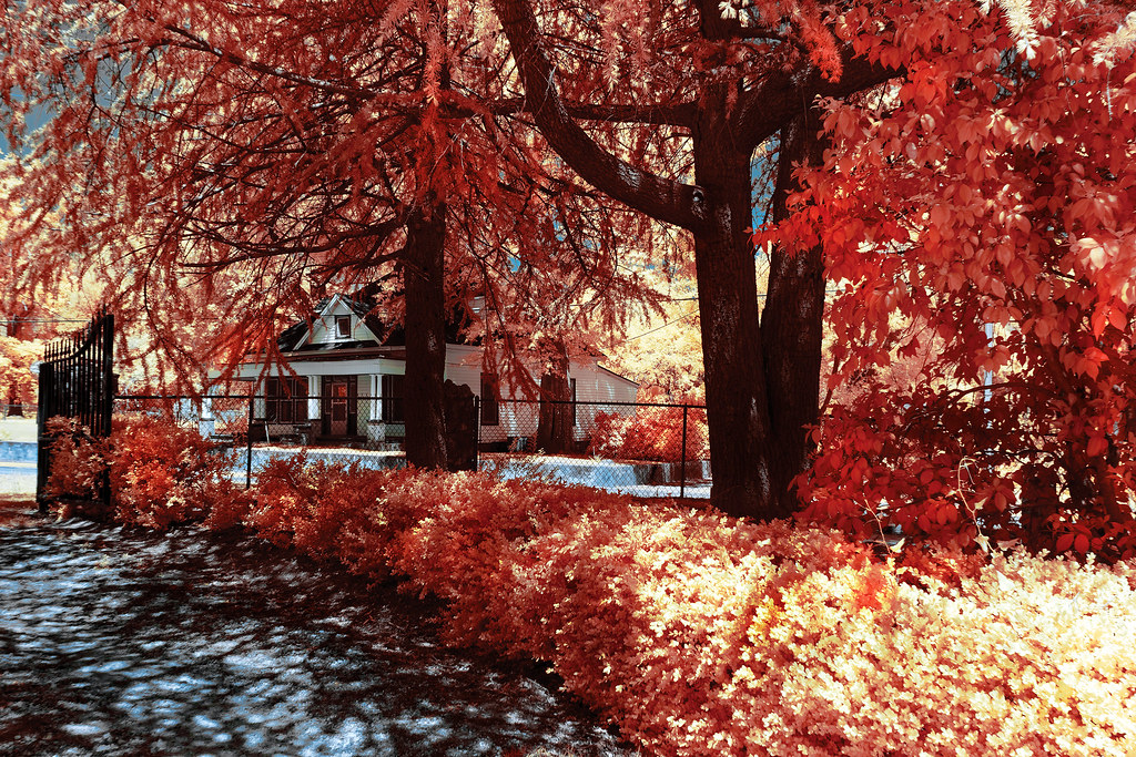 Small Town Scene Molena, Population 368 Bill DuPree Flickr