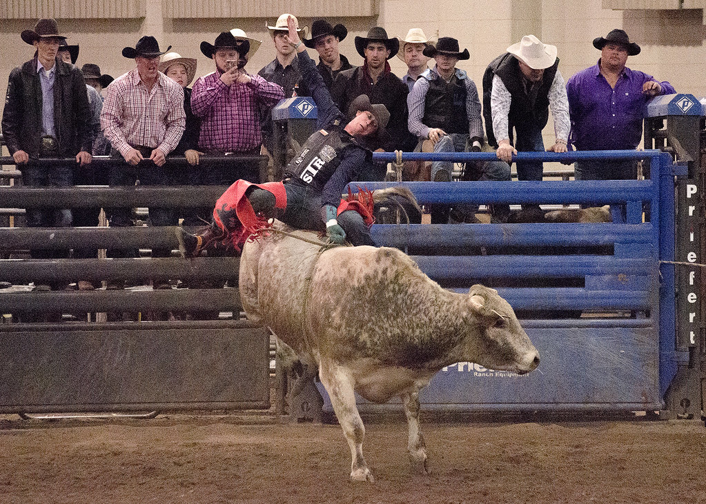 51 of 366 Went to a Rodeo today for the first time. Lighti… Flickr