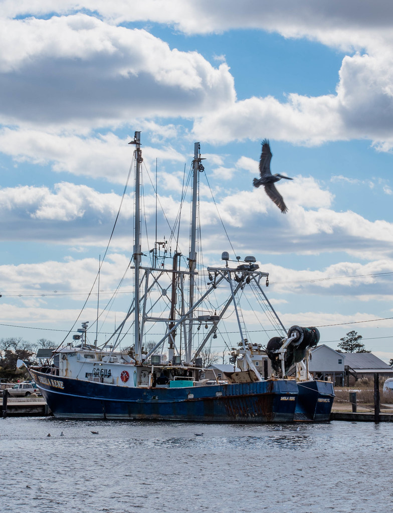 Fishing Boat in Wanchese, NC, USA Famous for its true fish… Flickr