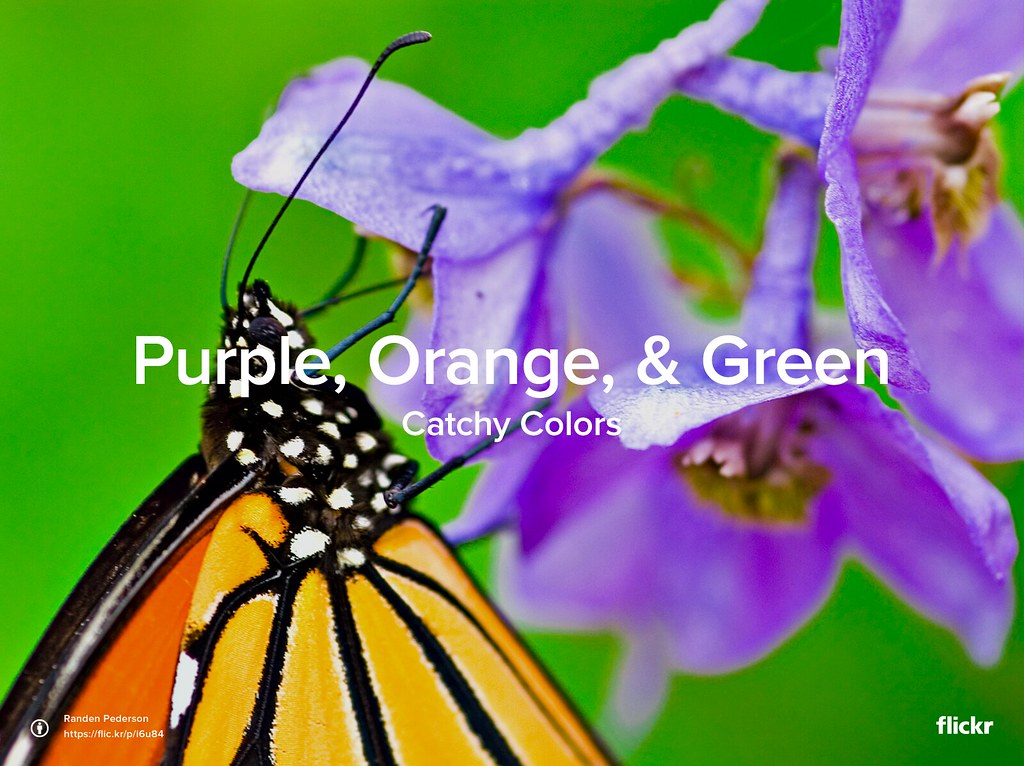 Catchy Colors Purple, Orange & Green The theme for Catchy… Flickr