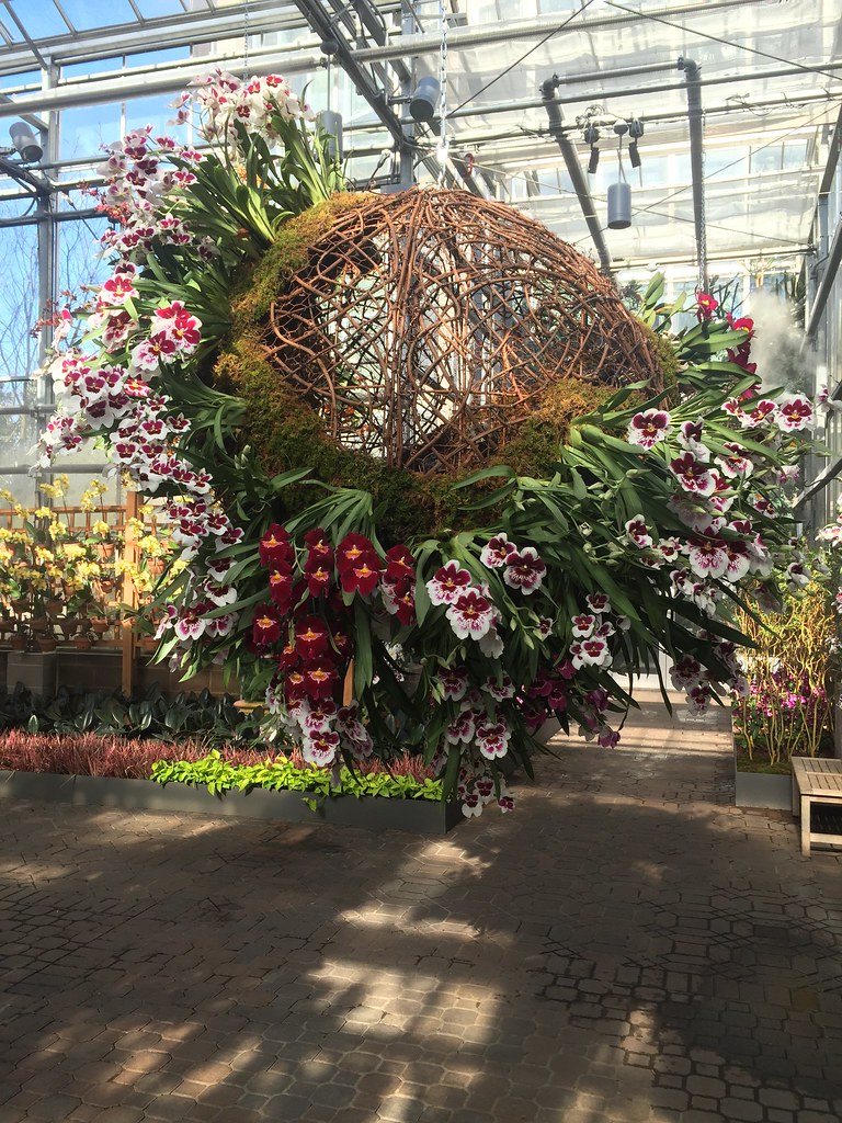 Temporary Orchid Display (Orchid Daze); Atlanta Botanical … Flickr