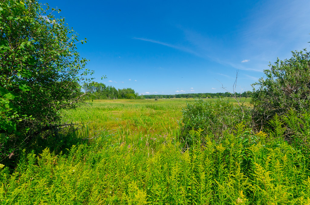 Fen Pickerel Lake Fen Wisconsin State Natural Area 209 Wa… Flickr