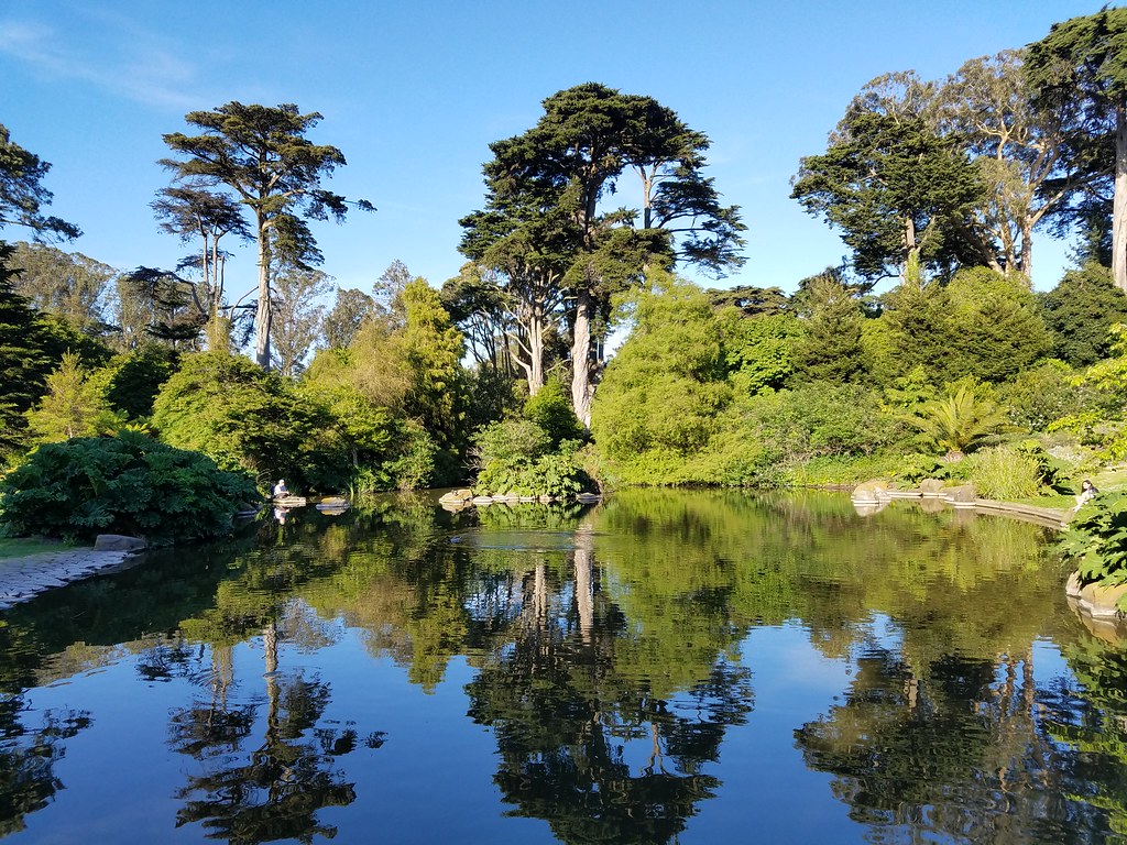 Botanical GardenGolden Gate Park San Francisco Trip Apr… Flickr