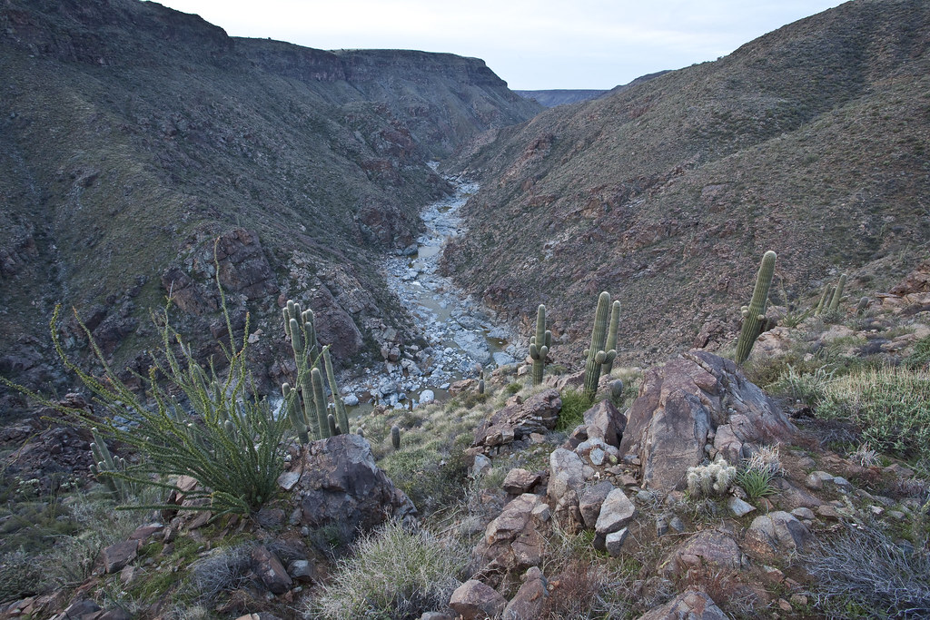 Agua Fria River Adjacent to rapidly expanding communities,… Flickr