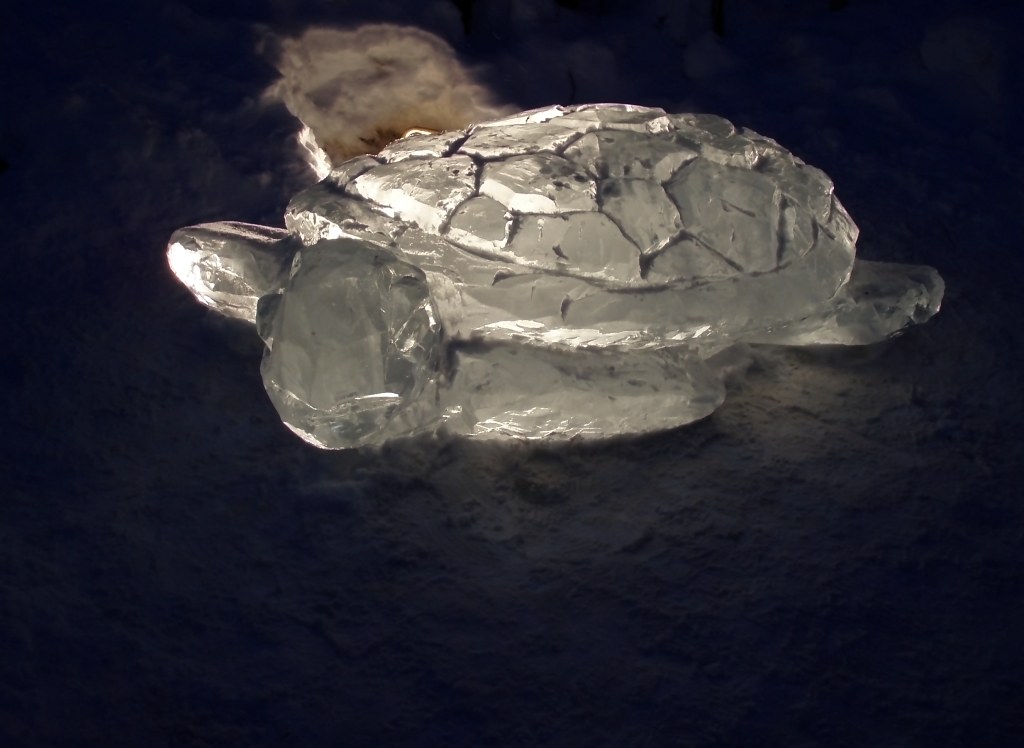 ice turtle Crystal Gallery of Ice Park in the Town Square,… Flickr