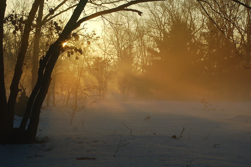 Morning rays tate king Flickr