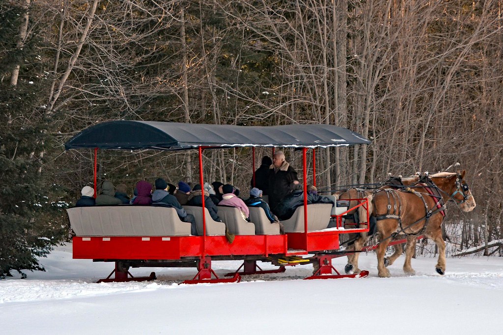 The lead sleigh on the trail Elk Viewing Sleigh Ride T… Flickr