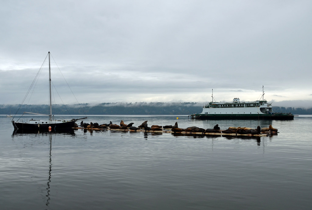 Fanny Bay, BC Stephanie Nixon Flickr