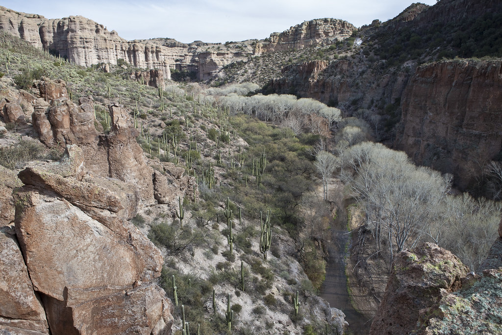 Aravaipa Canyon Wilderness Area The 19,410acre Aravaipa C… Flickr