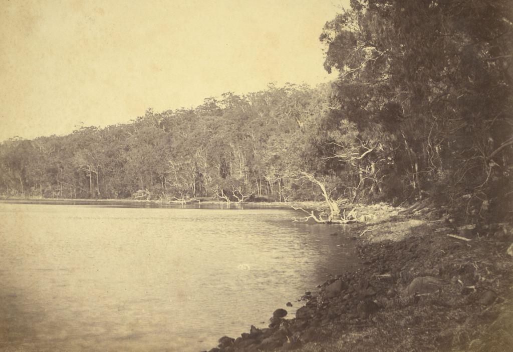 Fame Cove, Port Stephens, N.S.W. Ca. 1890 Photographed by … Flickr