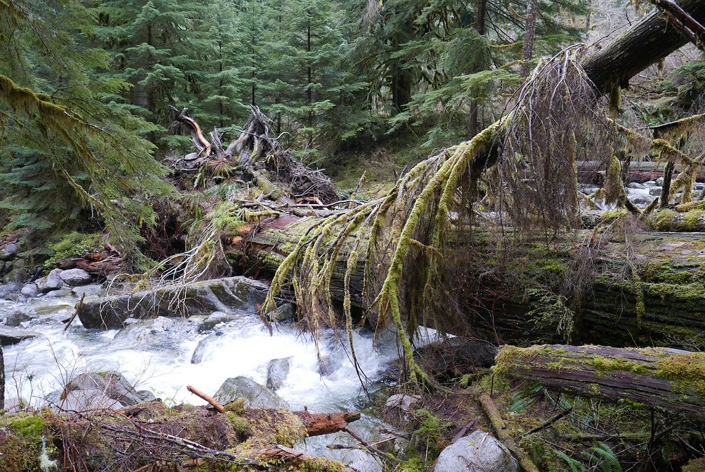 Tin Cup Joe Falls a photo on Flickriver
