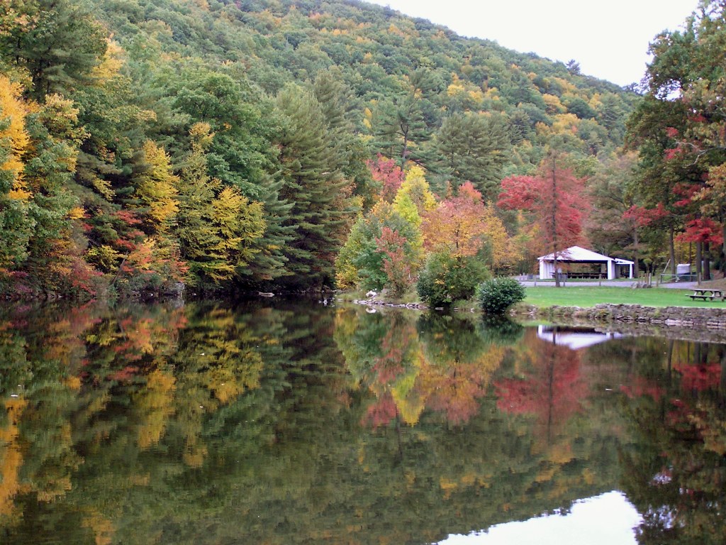 Lykens Glen Park Autumn in Lykens Glen Park, in Lykens, PA… Flickr