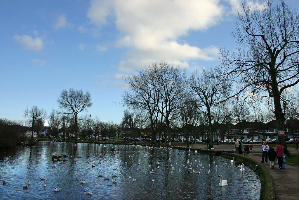 The Lough, Togher, Cork Kman999 Flickr
