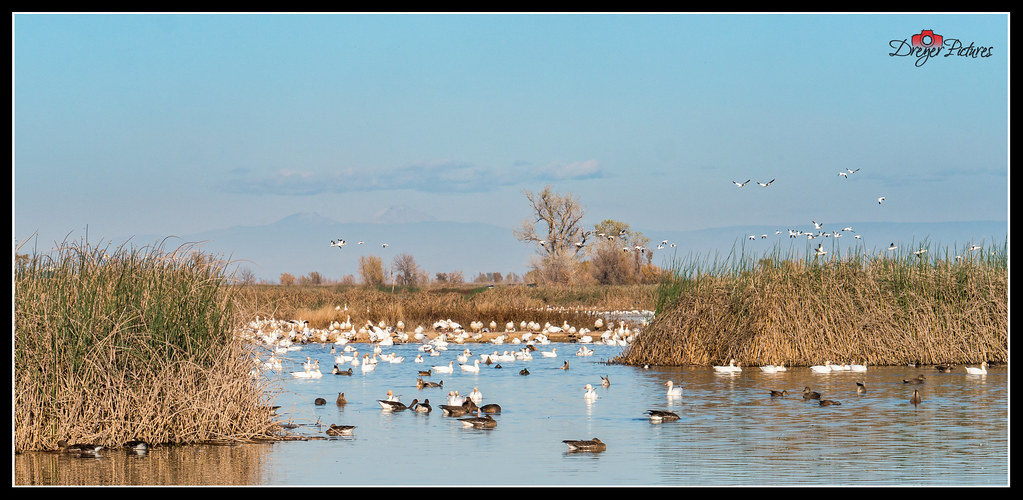 Elevation of Delevan, CA, USA Topographic Map Altitude Map